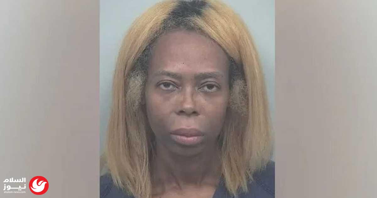 ��� ���� ���� ����� �����: ����� ���� ����� ���� �