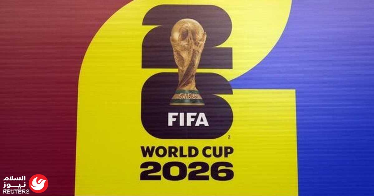 ������ ����� ���� ���������: ��� 240 ��� ���� ��