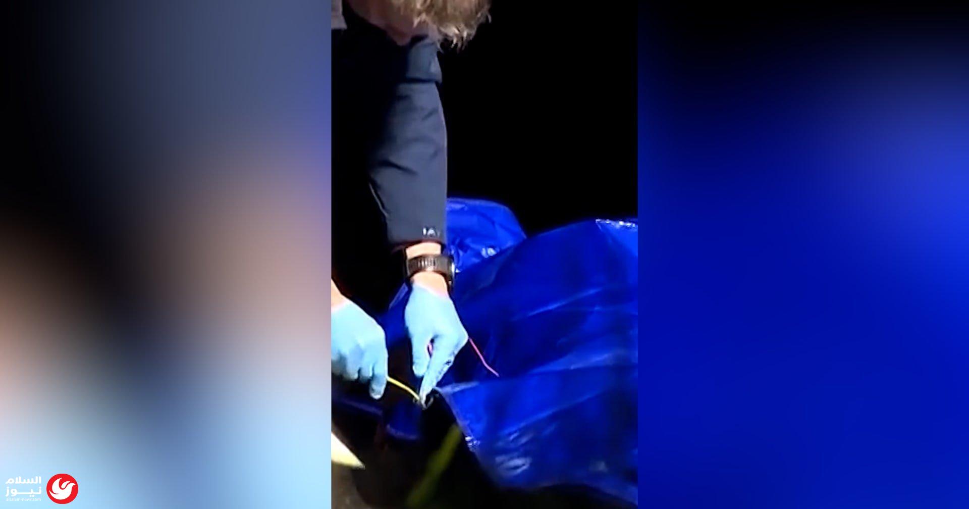 ���� �� ����� ��� ���� ������� ������ ����������