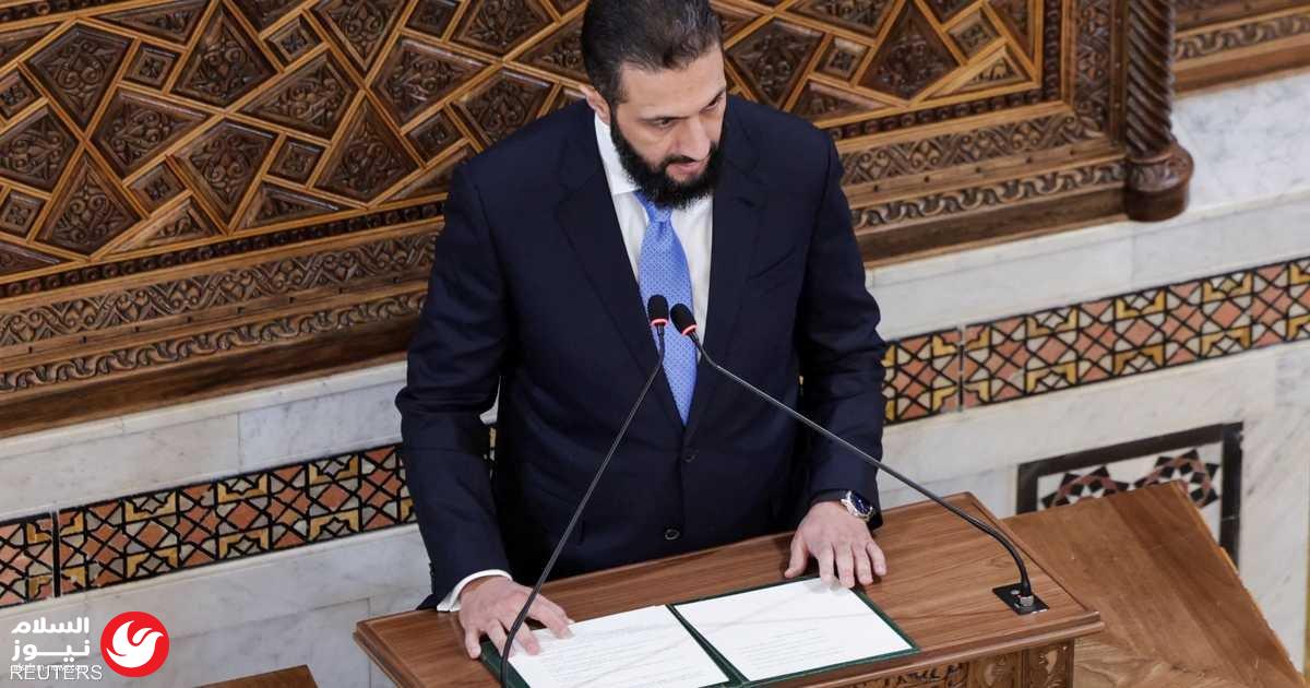 ������ ���� ����� ���� ����� ������ ������: ����� 
