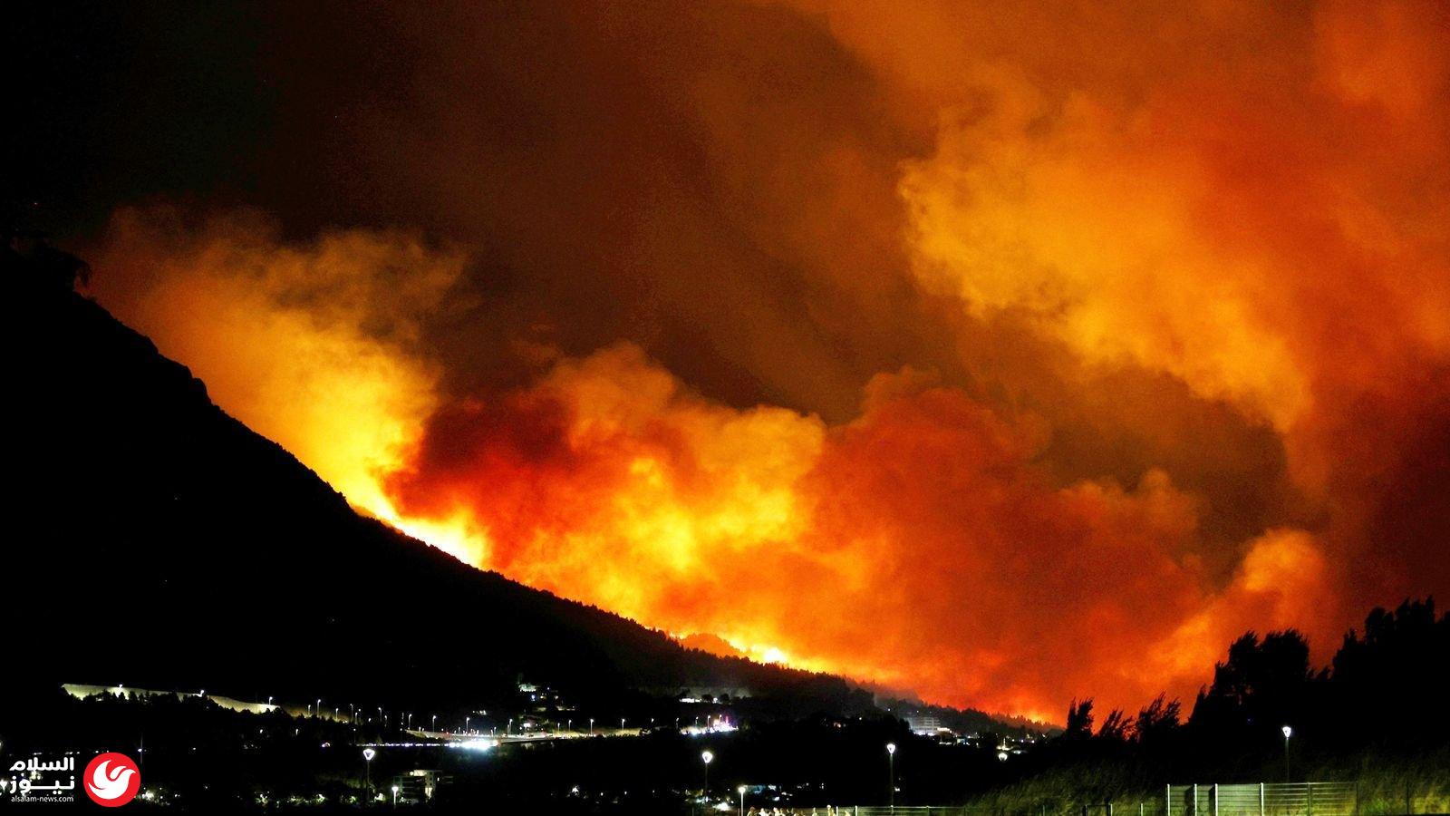 ������ ��� ���� �������: ���� ����� ���� ���� ����