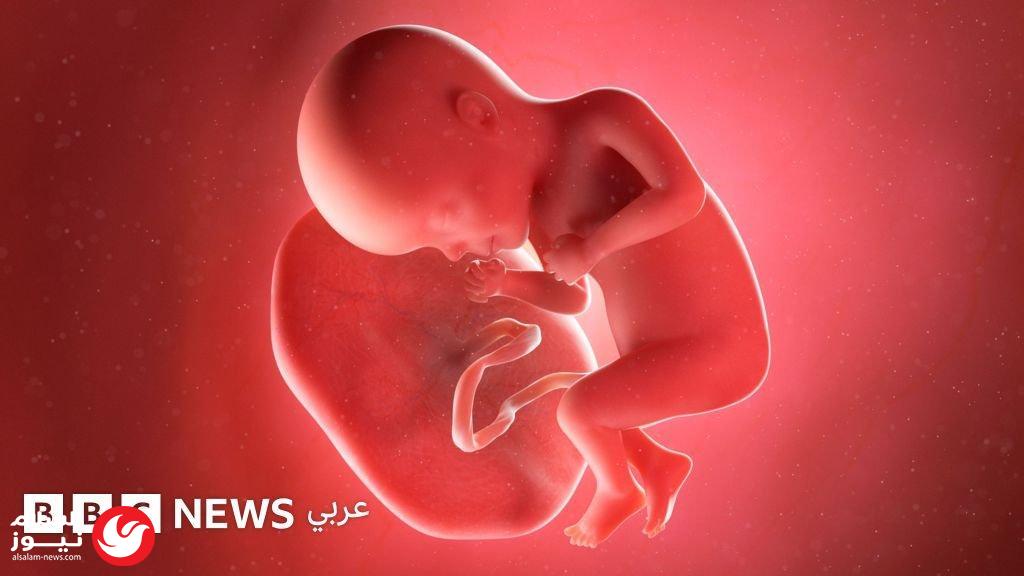 ����� ������� �������: ���� ����� ����� ����� ��