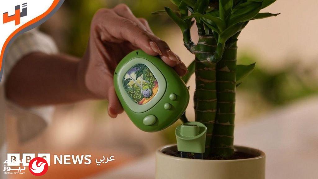 Plant Senso: ���� ����� ���� ������� �������� ��� 