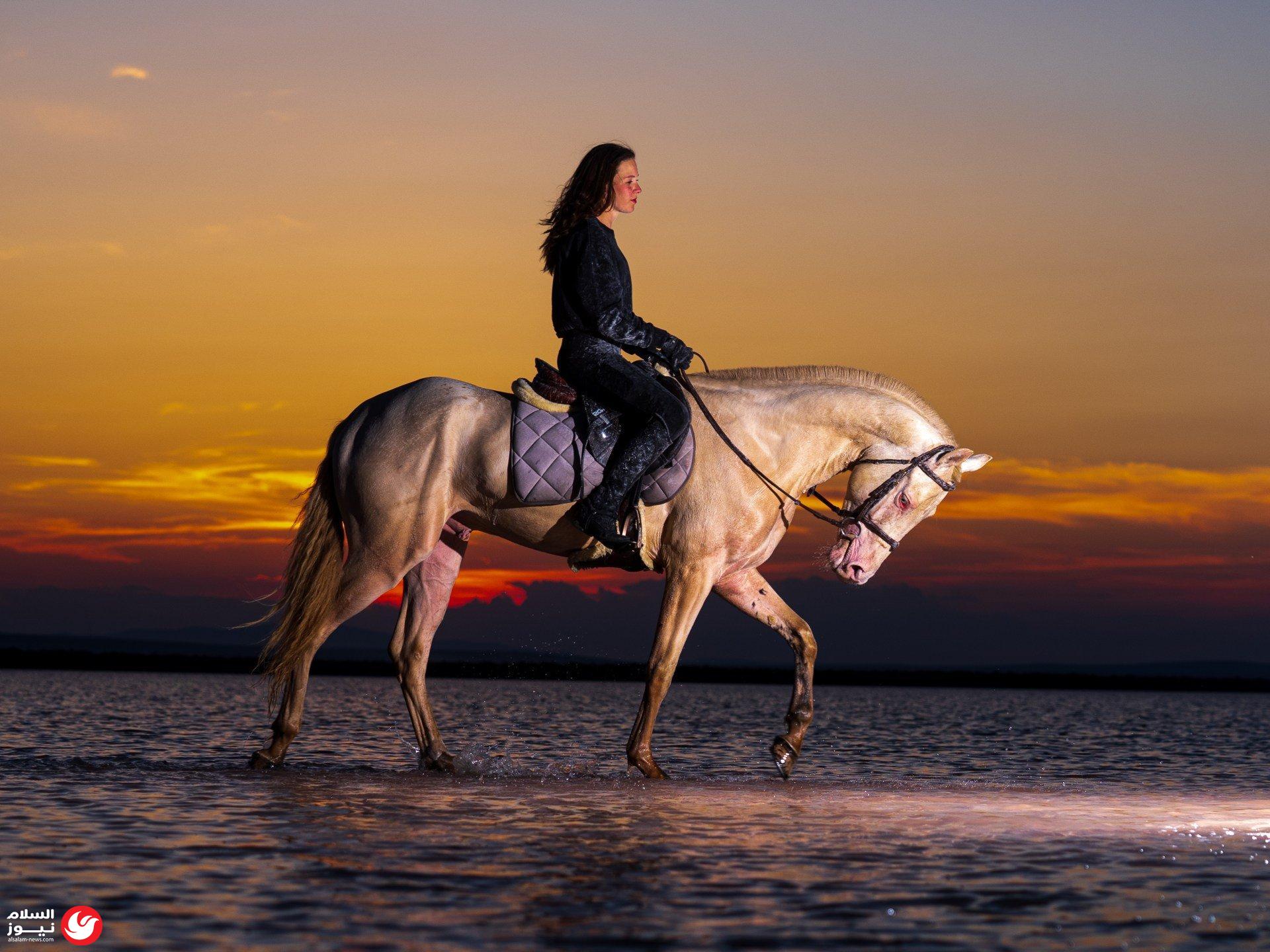 ������ ������ �������.. ���� ���� ����� ���� ���