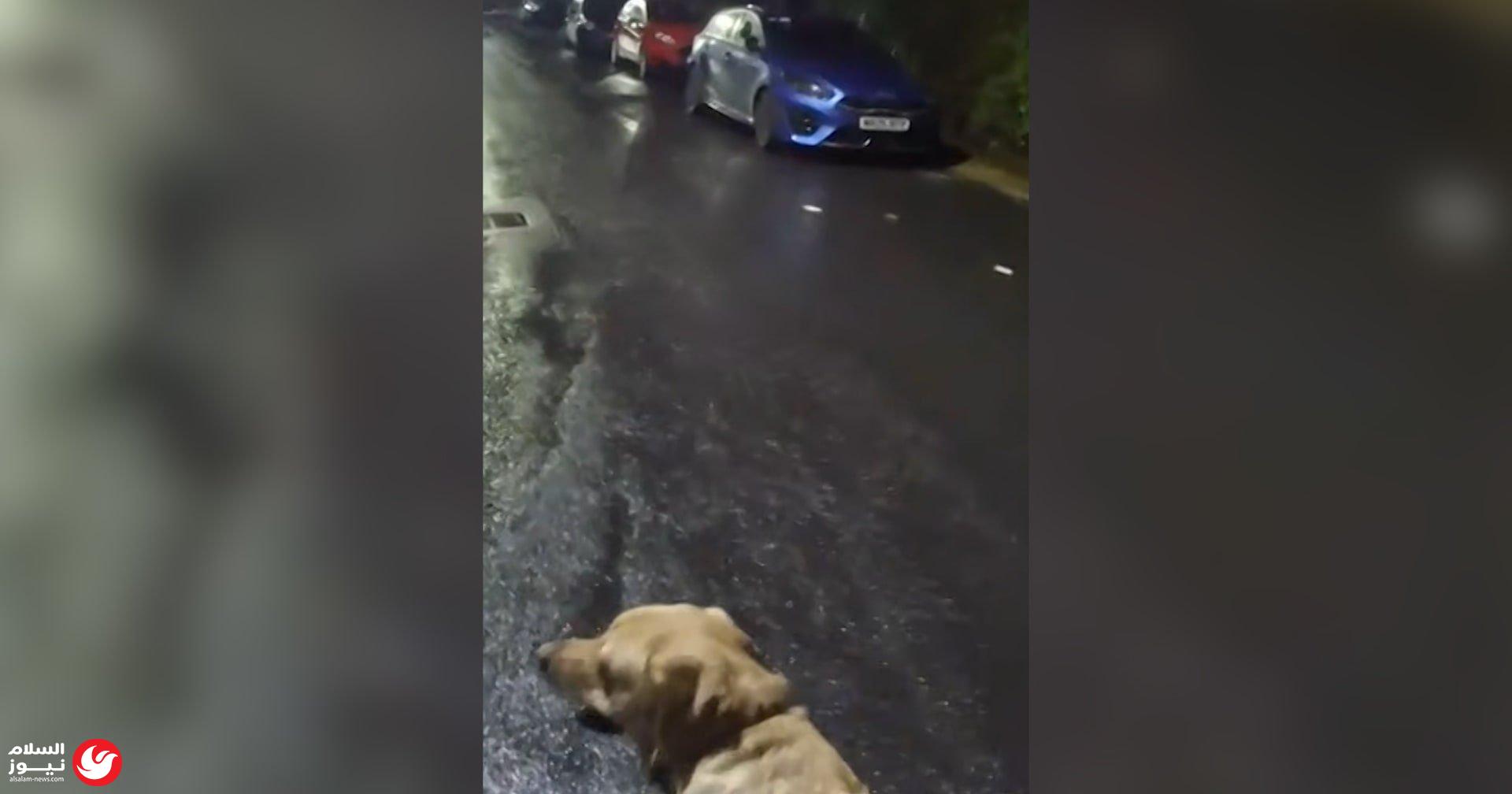 ��� ���� ����� ������ �� ������.. ����� ��� ����
