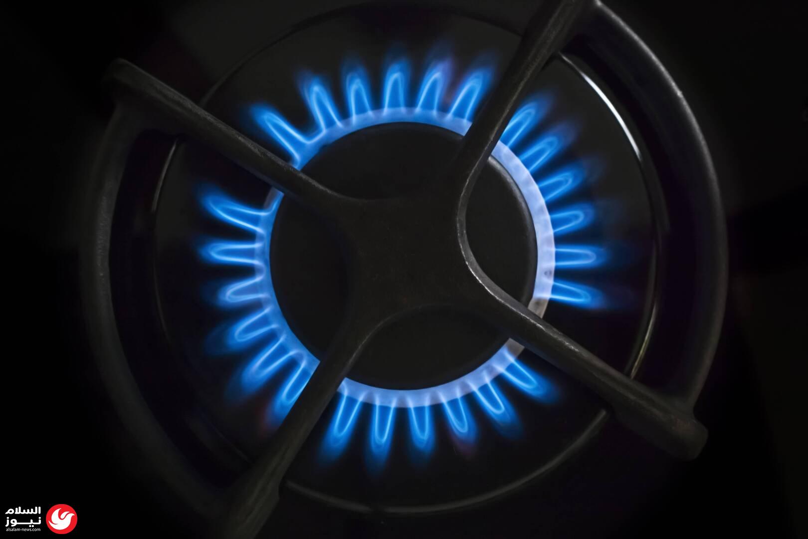 ���� ������� �����: ����� ����� �� ������ ����� ��