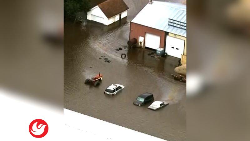 ������� ���� ���� ��������: ����� ��� �������� �