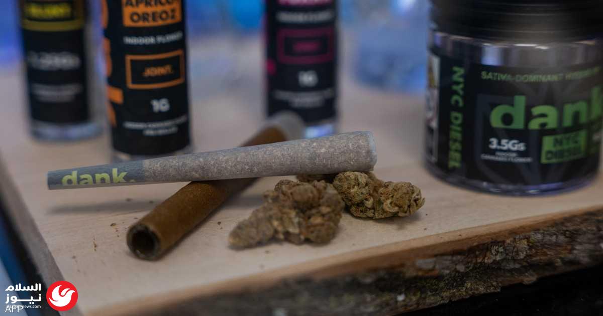 ����� ���� ����: ����� ����� ����� ���� ���� �����
