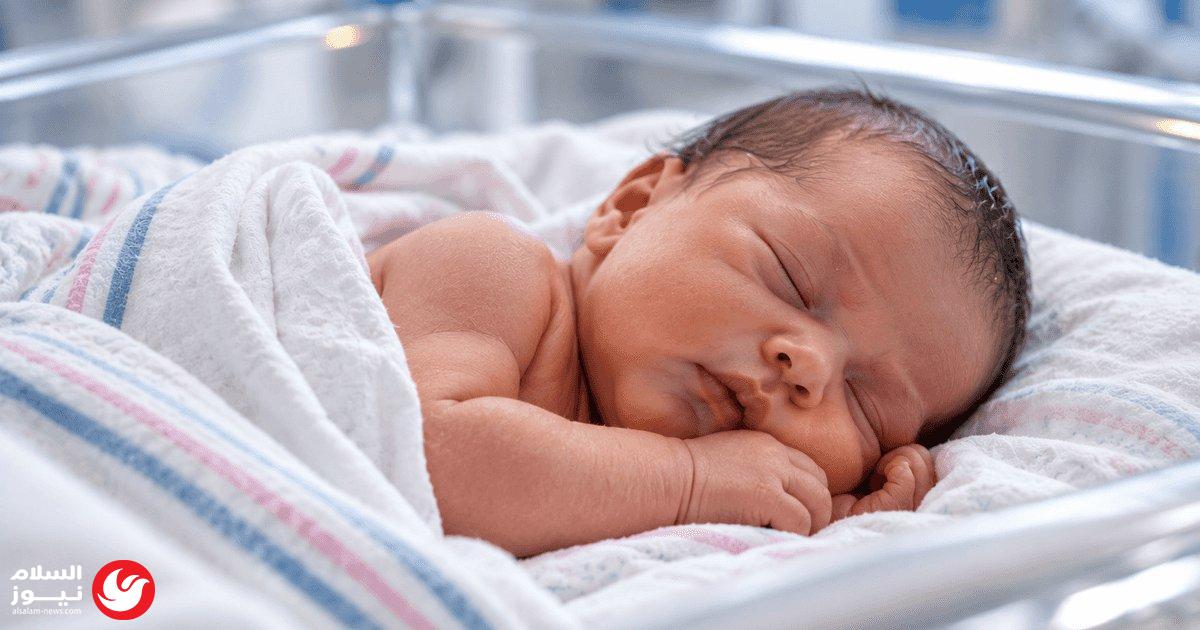 ��� ����� ���������: ����� ����� ���� ��� ������