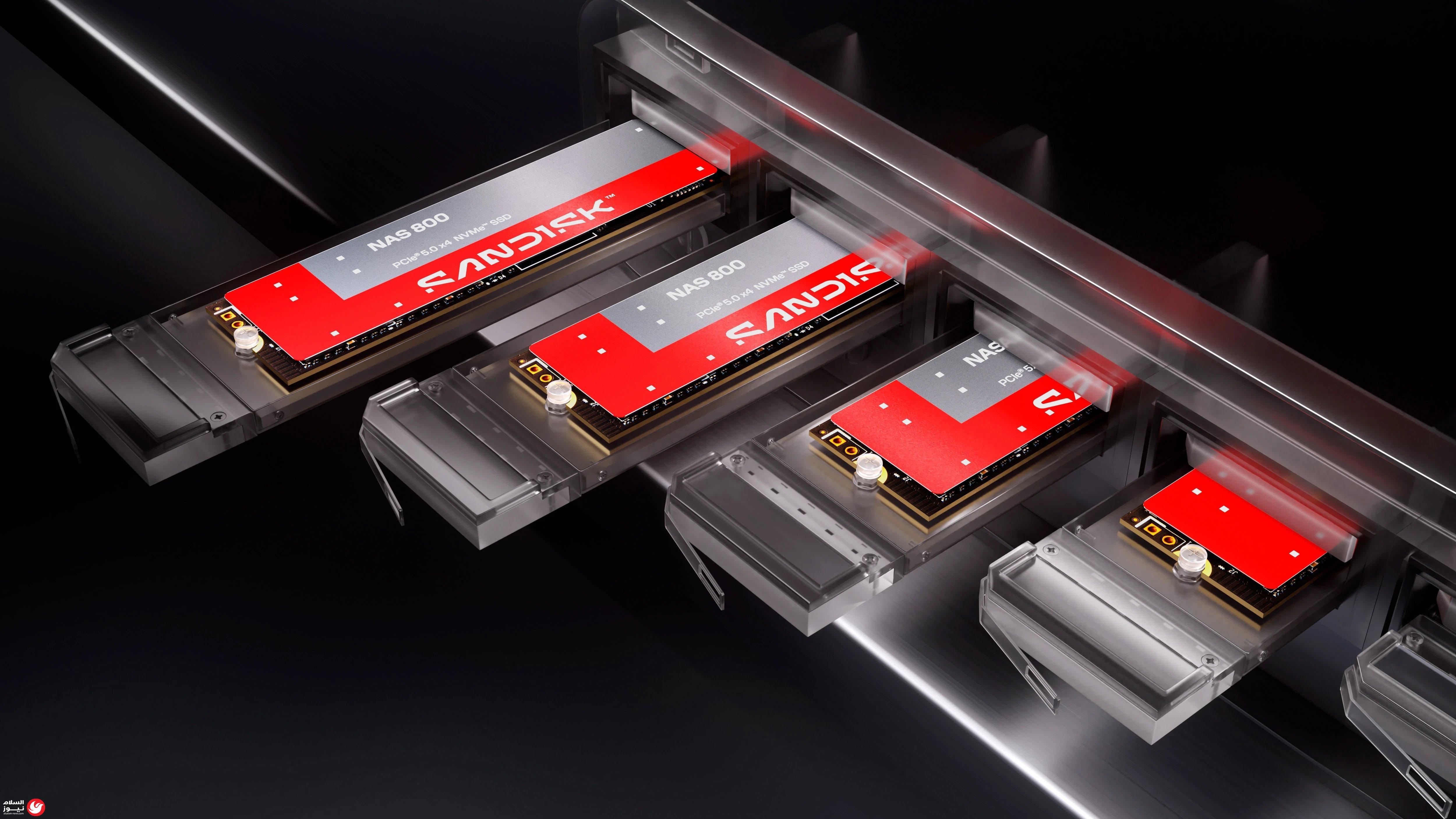 Sandisk ���� ��� ������� NAS 800 ���� 7.68 �������