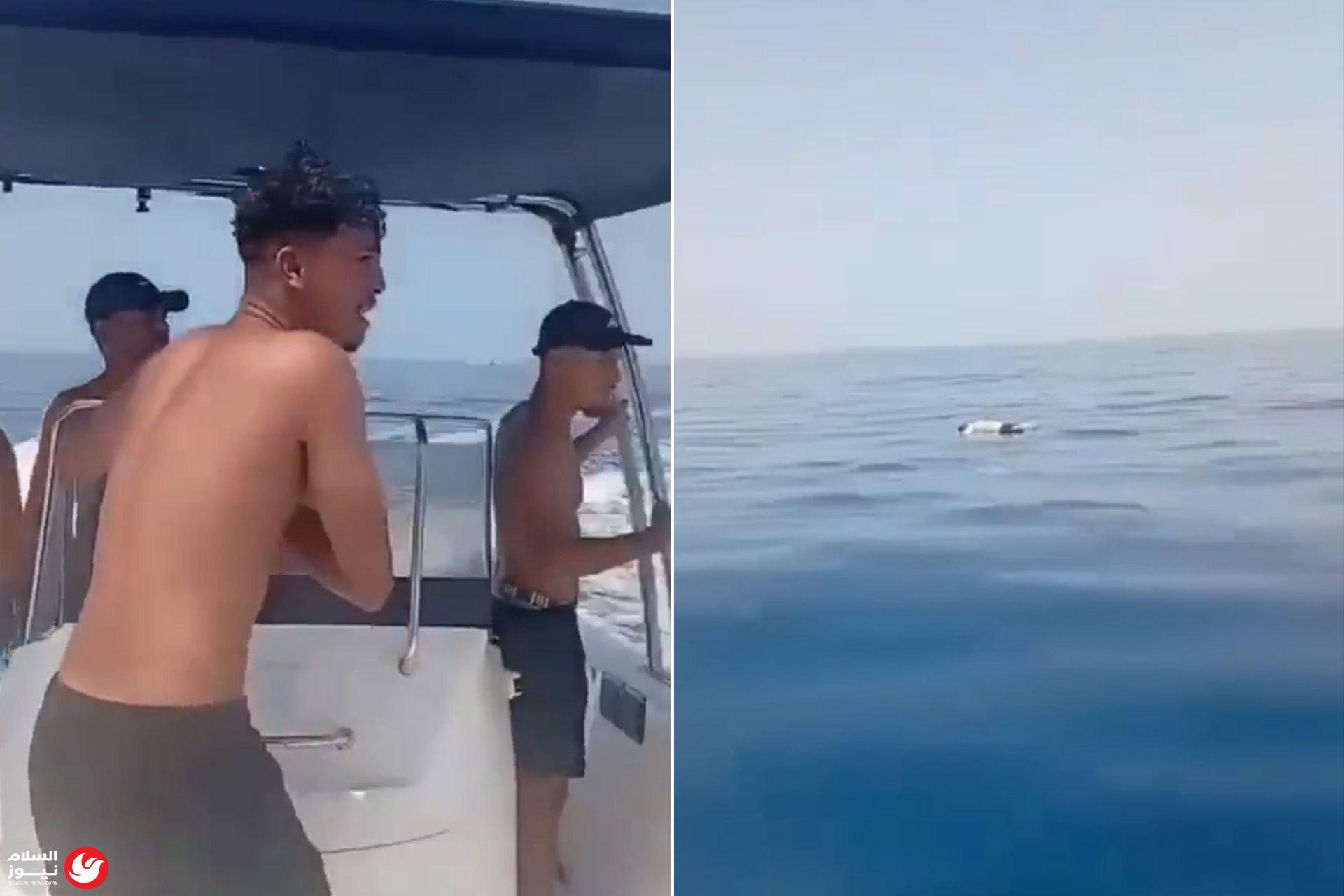 ����� �� ��� �����: ����� ���� ��� ����� ����� ���