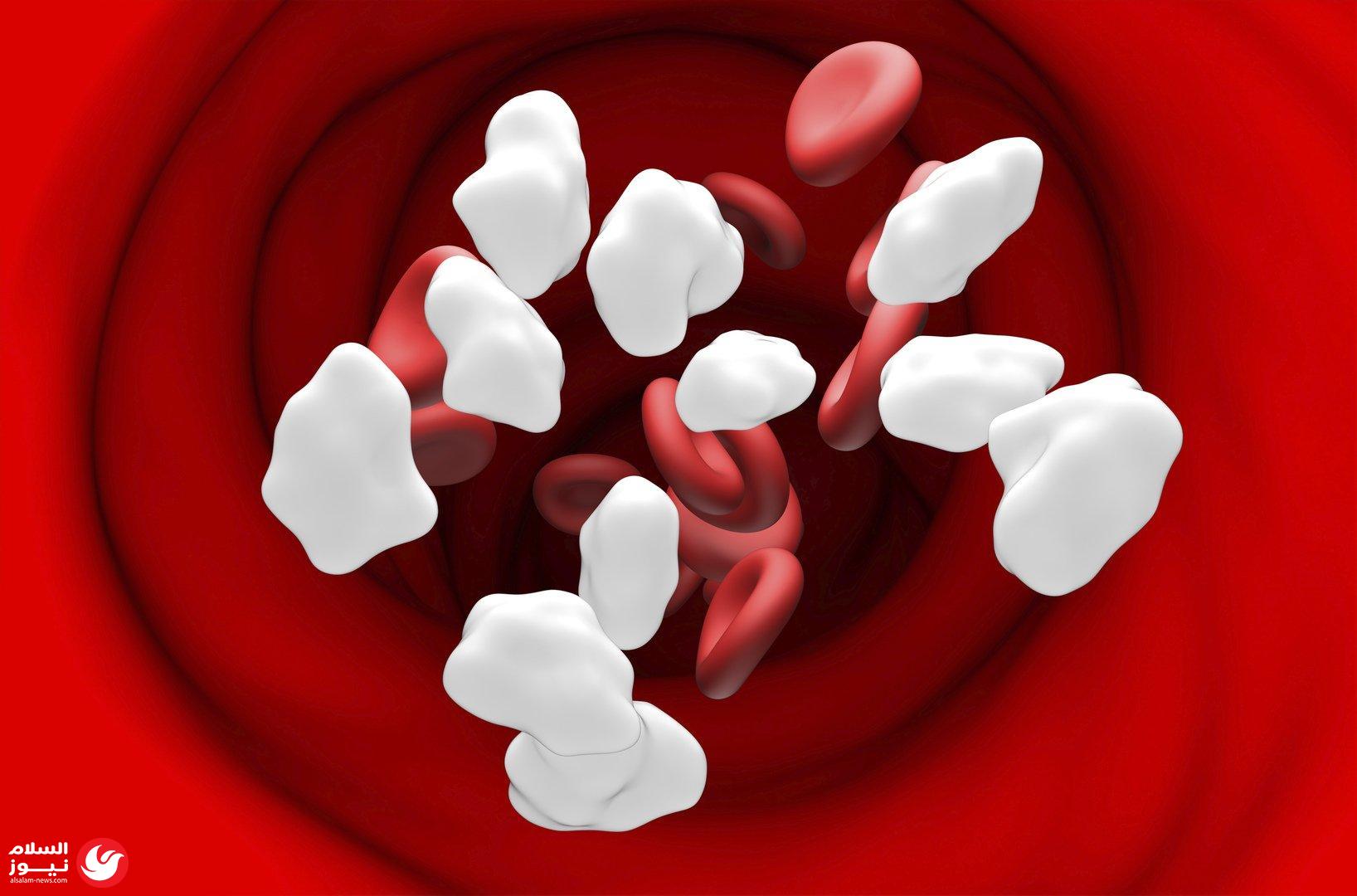 ���� �� ���� ������: ������� ����� ������� ���� ��