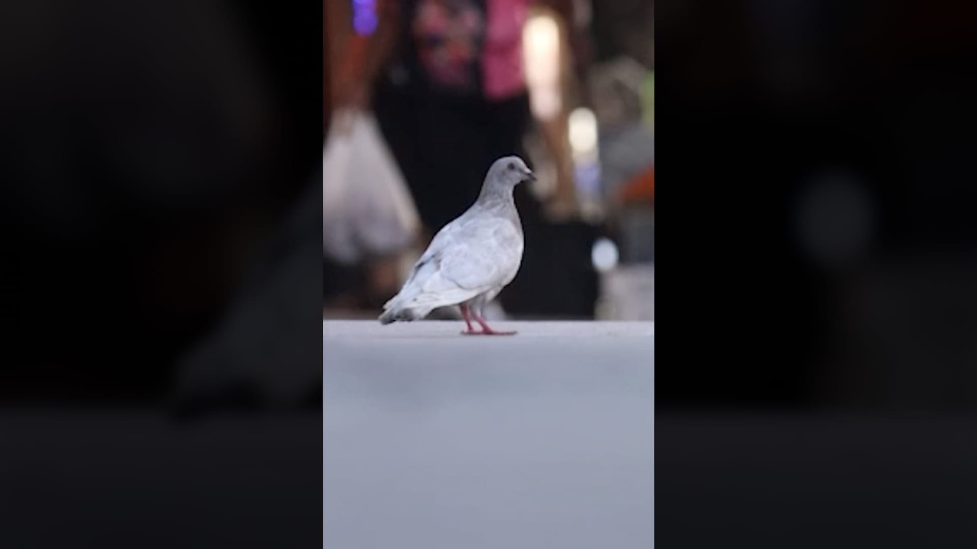 ����