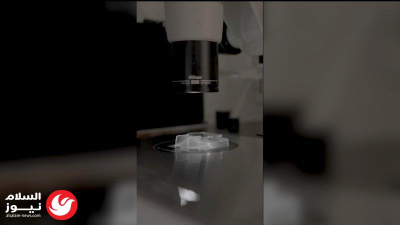 ��� ���� �� ���� �������: ��� ���� ������� ����� 