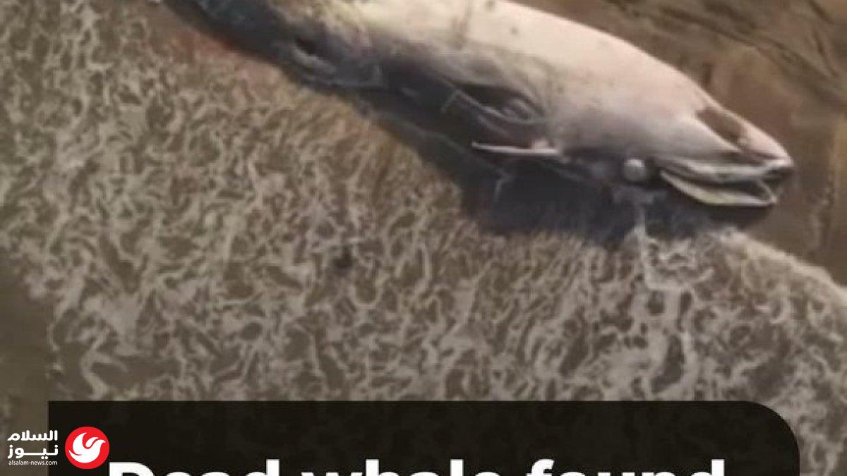 ���� ��� ��� ���� ������� ������� ��� ����� ������