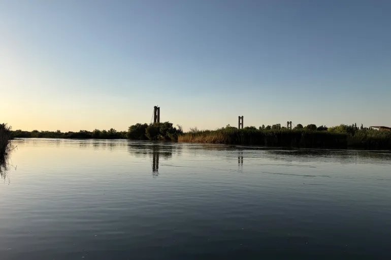 �����