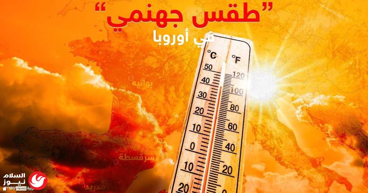 ������ ��� ���� ������ �������: 1300 ���� ������