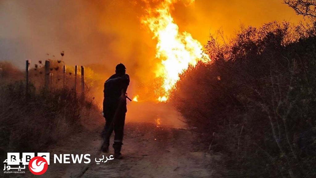 تبون يوجه بتعديل قانون العقوبات لإقرار الإعدام بحق مفتعلي حرائق الغابات في الجزائر